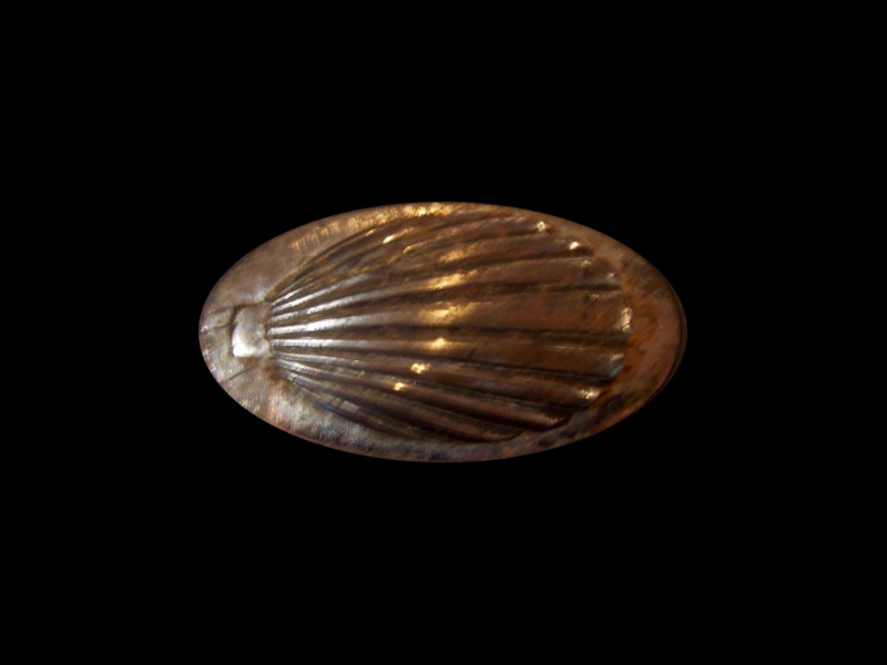 détail coquille.png