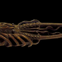 <em>Menuki Langouste</em>